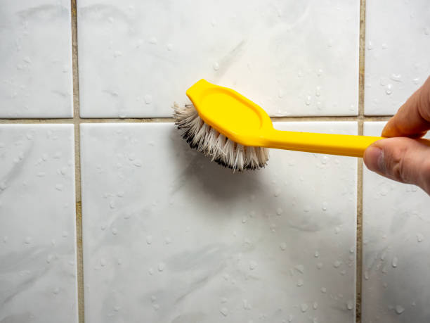 Best Mold Removal Process  in Los Ranchos, CA