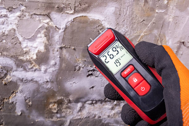 Best Home Mold Removal  in Los Ranchos, CA