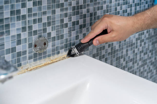 Best Mold Cleaning Services  in Los Ranchos, CA