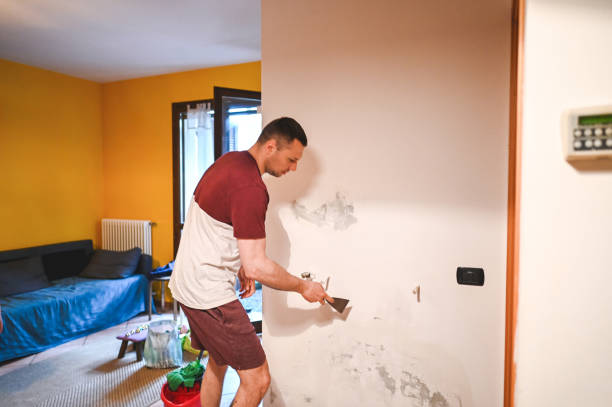 Best Mold Remediation  in Los Ranchos, CA
